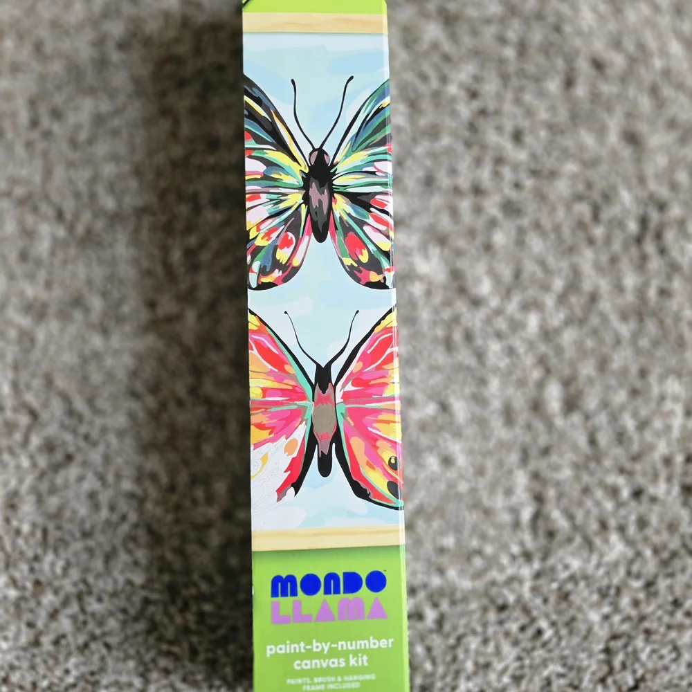 Mondo Llama Paint-by-Number Canvas Kit - Colorful Butterfly Design